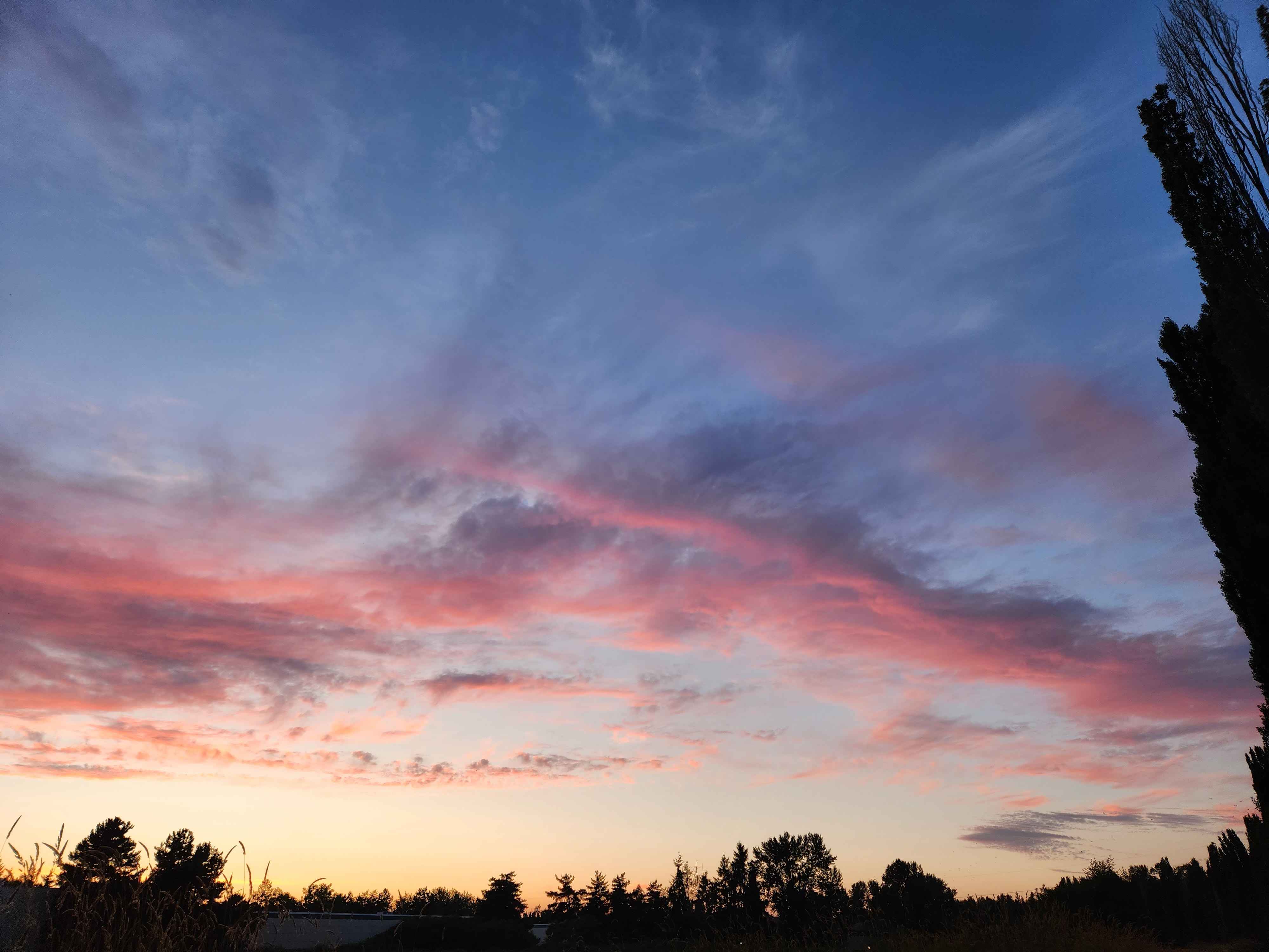 Sunset right off the river trail.