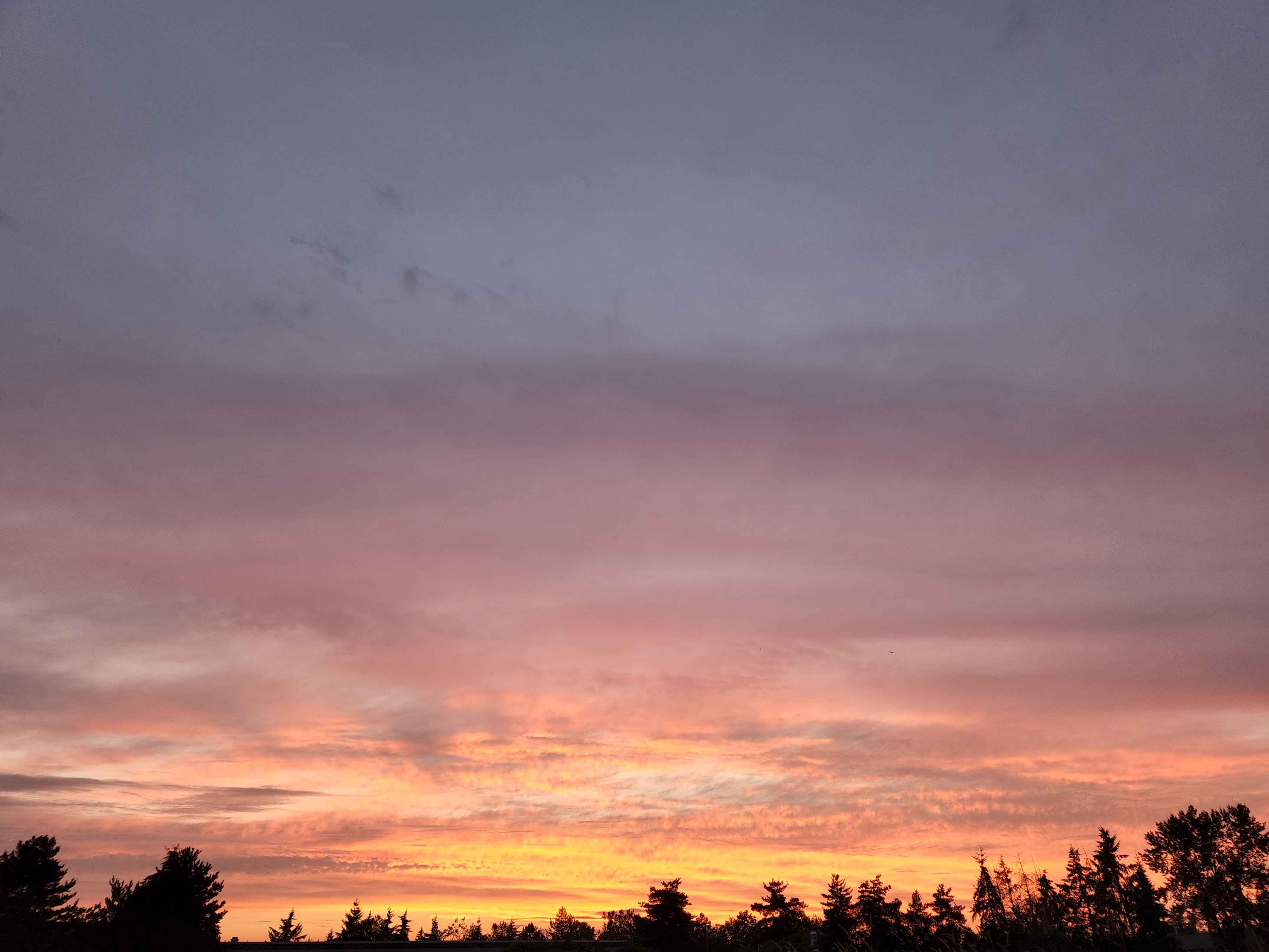 Sunset right off the river trail.